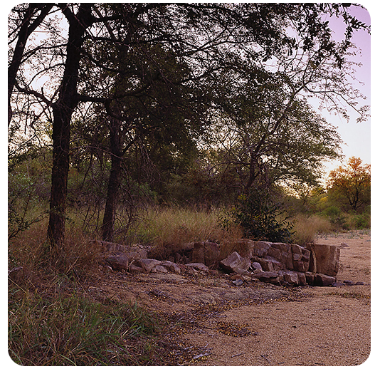 Black Rhino Reserve Shared Ownership